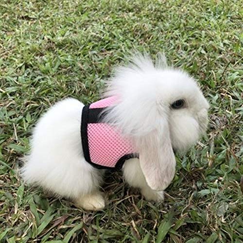 Rabbit Harness with Leash Adjustable Soft Mesh Vest Harness for Bunny Kitten Guinea Pig Rat (S, Pink) - color: Pink, size: S
