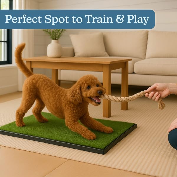 PETMAKER Artificial Grass Puppy Pee Pad for Dogs and Small Pets, 16” x 20” | Reusable 3-Layer Turf Pads for Dogs with Tray, Indoor and Outdoor Fake Grass Potty, Pet Supplies