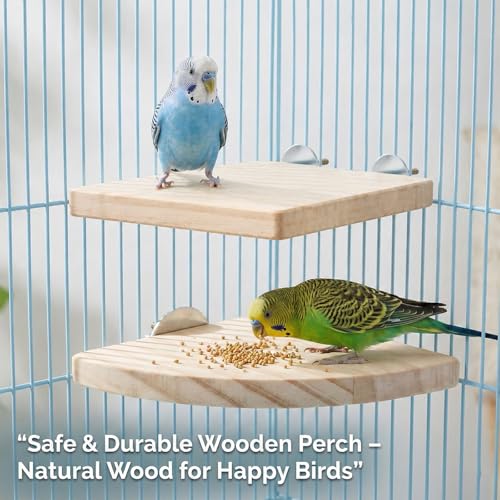 2Pcs Flat Bird Perches for Cage Parakeet Platform Stand | Bird Cage Perch Fan Shape and Rectangle Birds Cage Platform Parakeet Cage Accessories Exercise Toy for Bird Parrots Cockatiel