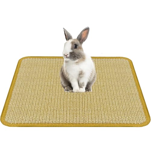 DYAUS Bunny Scratch Pad, Natural Sisal Rabbit Scratching Mat for Claws and Teeth Care, Indoor Bunny Chew Toys Bunny Bed for Biting Sleeping Nesting (1PC, 16x12in) - size: 1PC
