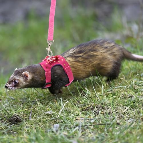 Hypeety Small Animal Harness Vest and Leash Set Soft Mesh Small Pet Harness Hamster Rabbit Chest Back Outdoor Leash Traction Rope for Rabbit Ferret Guinea Pig Kitten Clothes Accessory (S, Pink Star) - color: Pink Star, size: S