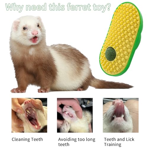 Ferret Toys, Hay Ball for Ferret Lick, Safe Ferret Chew Enrichment Toys Teeth Cleaning Dental, Edible Ferret Wall Treats Ball, Easy to Clean