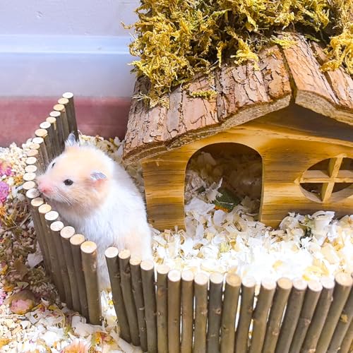 Hamiledyi Hamster Hideout Wooden Hamster House and Bridge with Windows Habitats Decor for Rat Gerbils Mice Playing Hiding