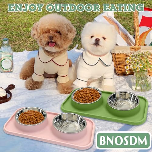 BNOSDM 2 Pcs Double Dog Food Bowls Stainless Steel Small Dog Food and Water Bowls with Non-Spill Plastic Mat Pet Cat Feeder Dish Set for Puppy Cats Kitten (Pink and Drak Green) - color: Pink+Drak Green