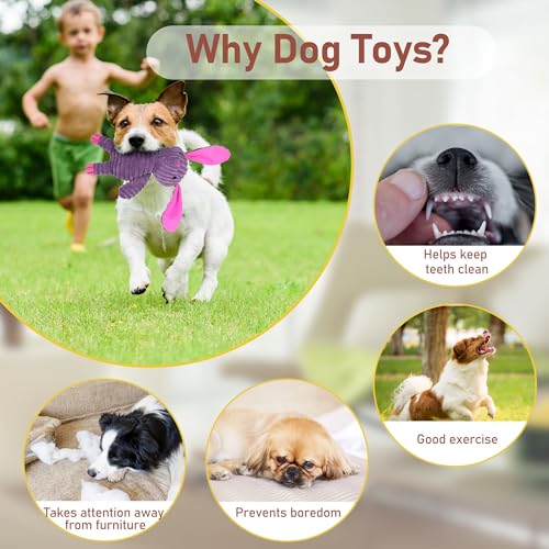 Prime Pets Dog Toys, 5 Pack, Plush Dog Squeaky Toys, Assortment Value Bundle Animal Pet Toy for Small Medium Large Dogs, Stuffed Puppy Chew Toy
