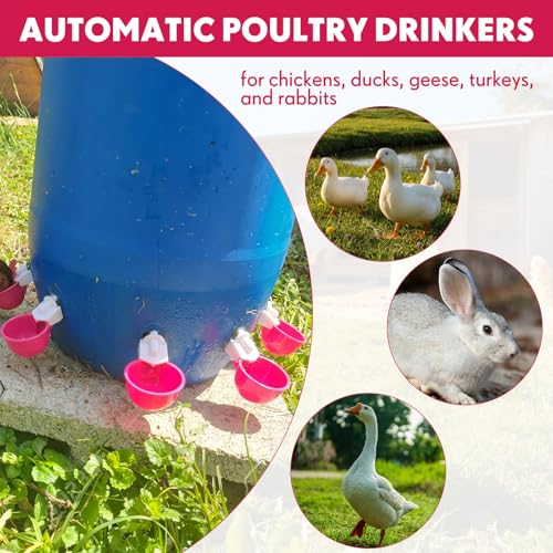 LemonRoad 30 Set Automatic Chicken Waterer Cups with 1/2" PVC Tee Fitting Chicken Drinking Bowl, Poultry Drinker Mounting Hole Opener,Water Dispenser Feeder for Duck, Goose, Pigeon(Rose Red) - color: Rose Red