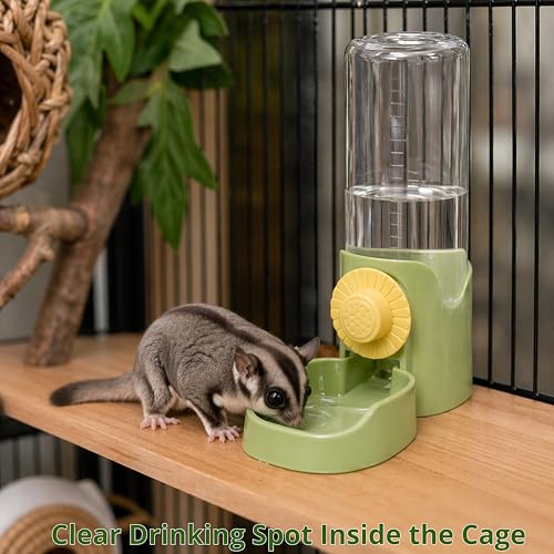 Sugar Glider Cage Water Dispenser Dripless, Non-Drip Water Bottle and Brush, Sugar Glider Accessories, Small Pets Drink Bottle for Rats Gerbils Syrian Hamsters Squirrel (Green)