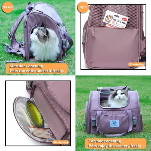 Pet Backpack Carrier for Small Dogs Medium Cats, Puppies,Breathable and Collapsible Design, Portable Travel Bag for Bearded Dragon,Rabbit Cage (Purple, Large) - color: purple, size: Large