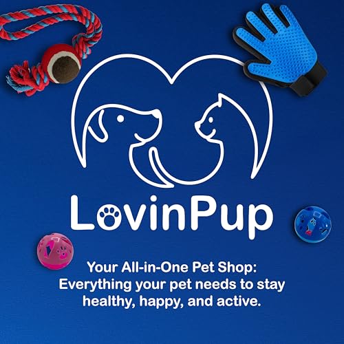 Pet Metal Comb for Dogs and Cats (2-Pack) – Detangling Comb | Stainless Steel Rounded Teeth for Painless Detangling – Dual-Spacing w/Comfort Grip Handle – Professional Grooming Tools - size: Comb
