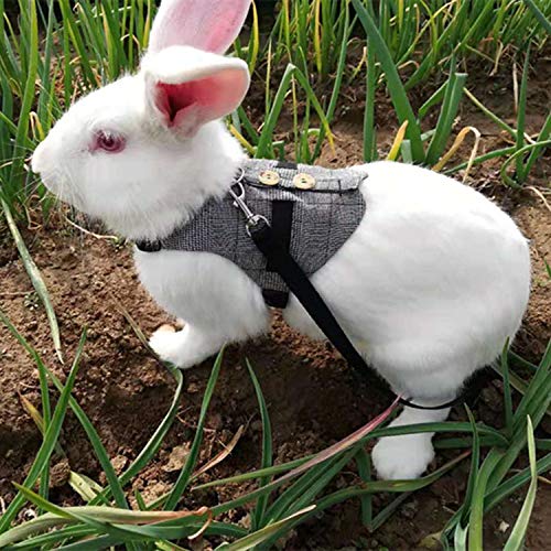Hypeety Multipurpose Rabbit Vest Harness and Leash Set Adjustable Soft Vest | Breathable and ligthtweight vest, escape-proof buckles, adjustable neck and chest, for bunnies/kittens, formal suit style, M - size: M