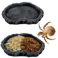 2 Pack Shallow Reptile Food Bowls, Reptile Feeding Terrarium Bowls for Bearded Dragon Lizard Frog Gecko Tortoise Hermit Crab Snail (Black) - color: Black - 2 Pack Shallow Bowls