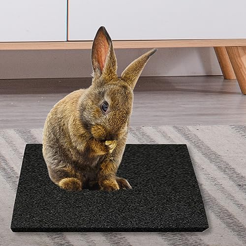 Hamiledyi Rabbit Scratch Foot Pads - 4 Pcs Small Animal Lava Grinding Teeth Stone for Bunny, Hamster, Guinea Pig, Rat, Gerbil, Chinchilla & Hedgehog - color: BlackS-4PCS