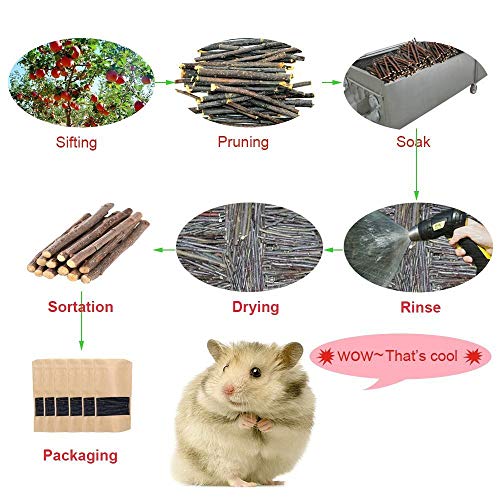 500g Apple Sticks Small Animals Molar Wood Toys for Rabbits Chinchillas Guinea Pig Hamster Gerbil Bunny and Small Animal Chew Stick Toys