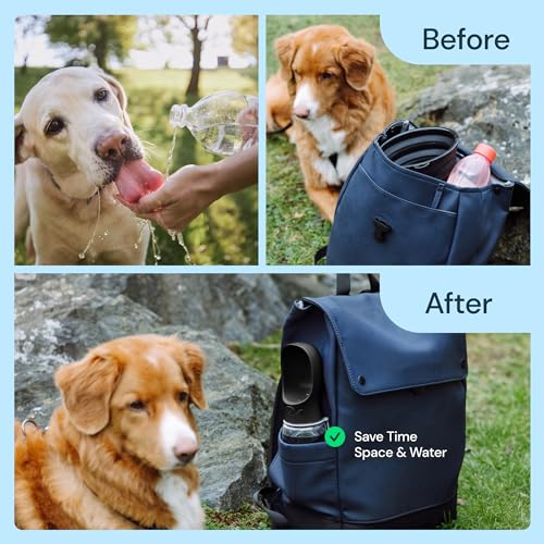 MalsiPree Dog Water Bottle Dispenser - 12 oz Black, Leak-Proof | 12oz leak-proof bottle - one-hand use - built-in bowl - Use for dog walks, travel, hiking & beach days - color: Black, size: 12oz - Standard