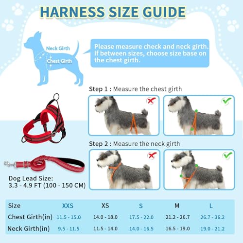 SlowTon No Pull Small Dog Harness and Leash Set with Front Clip | Soft Padded, Neck & Chest Adjustable, Lightweight, Anti-Twist, Puppy Vest Harness Pet Lead Combo for Small Medium Dog, R S - color: Red, size: X-Small