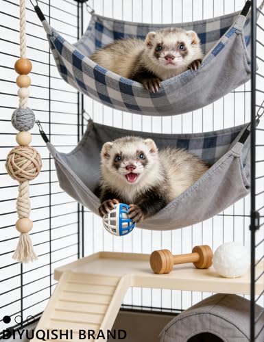 5 Pack Ferret Play Balls, Rolling Toys for Small Medium Large Ferrets | Multi-Style, 1.5 In, Tough Wear-Resistant Smooth Surface, Bright Assorted Hues for Ferret Daily Indoor Play - size: 1.5''