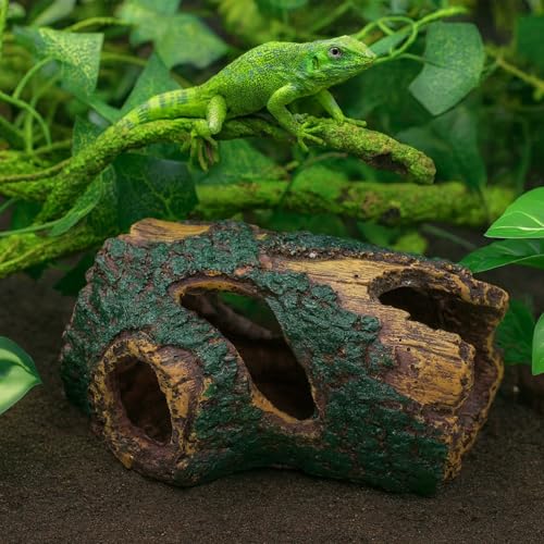 13 PCS Reptile Reptile Eco Bottle Decoration Set - vines, eco bottle plants, hanging greenery, leaf feeders, lizards, geckos, bearded dragons Landscape drawn hideout logs and habitat accessories