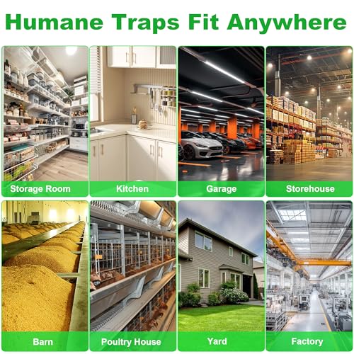 Live Squirrel Trap, Foldable Heavy Duty Humane Animal Cage Trap, Large Rat Trap Cage Catch and Release, Rodent Rabbit Trap for Indoor and Outdoor - 17” L x 7.9” W x 7.5” H