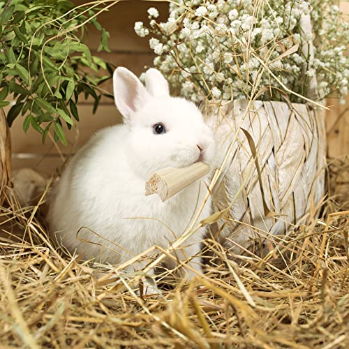 Niteangel Sweet Bamboo Chew Toys: Natural Herbal Flavor & No Additives | Helps Alleviate Teeth Grinding & Reduces Boredom - Fun Safe Snack Treats for Chinchilla Guinea Pig Rabbit and Other Small Pet