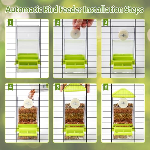 Rypet No-Mess Automatic Bird Feeder for Cage, Parrot Cage Accessories | Transparent Acrylic Food Dispenser, Helps Reduce Seed Scatter, for Parakeet Cockatiel Parrot Canary - color: Transparent A80 Green