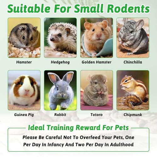 Tfwadmx 10Pcs Bunny Chew Toys Small Animal Molar Toys Natural Fruit & Veg Strawberry Papaya Oat Cake Treats Molar Teeth Rabbit Chew Toys for Guinea Pig Hamster Bunny Chinchilla
