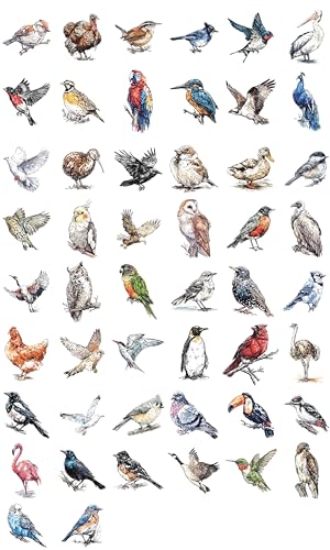 100 PCS Bird Stickers Pack – Waterproof Bird Decals for Water Bottles, Laptops, Phones, Notebook, Cars – Cool Vibrant Graphics for Bird Enthusiast - color: Bird