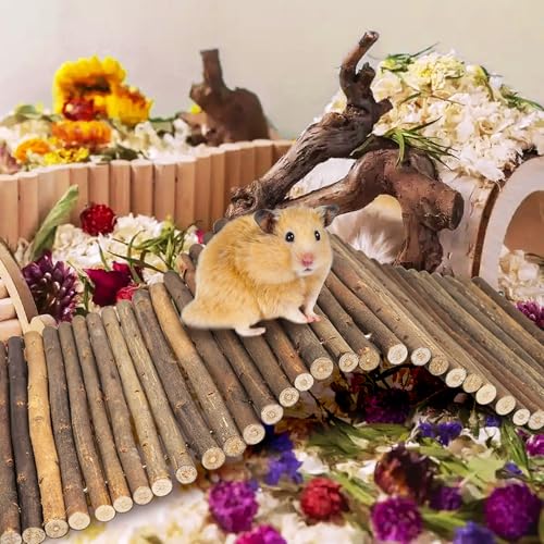 PINVNBY 2 PCS Extra Large Wooden Bunny Ladder Bridge-20 x 11.8 inches, Rabbits Hideout House Tunnel, Rodents Chew Toys for Guinea Pig Chinchillas Hedgehogs Ferrets Rat - size: 2 PCS, L ( 20 X 11.8 inches )