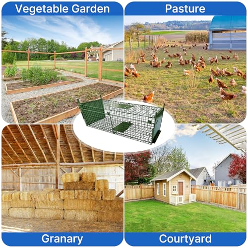 ARIFARO Animal Cage Trap (40" L x 11.6" W x 12" H) Humane Live Cage Trap Double-Door Metal Capture Cage for Skunks,Raccoons,Rabbits,Stray Cats,Squirrels,Moles,Gophers - size: 41 Inch