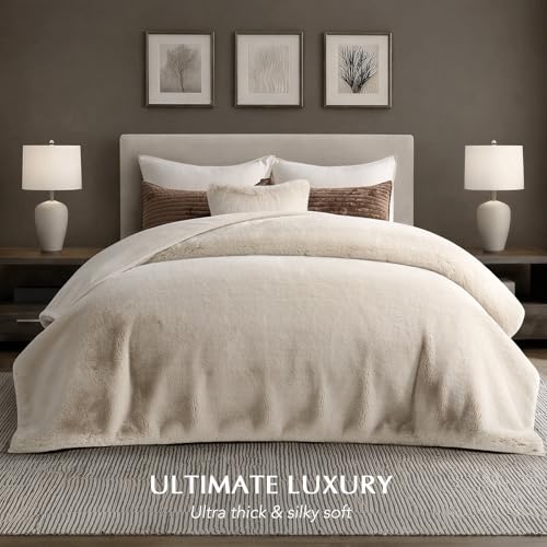 EVERGRACEHOME Faux Chinchilla Fur Throw Blanket, 72"x90", Birch Mink | Luxury, Super Soft, 1220GSM, Fluffy Cozy Mink, Reversible Velvet Back, Warm Thick Heavy Winter Queen Blanket for Bed, Gift - color: Birch Mink, size: 72"x90"