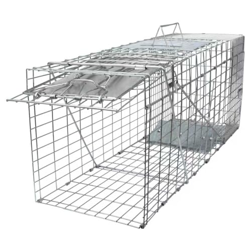 SZHLUX 32" Live Animal Cage Trap, Heavy Duty Folding Raccoon Traps, Humane Cat Trap for Stray Cats, Raccoons, Squirrel, Skunk, Mole, Groundhog, Armadillo, Rabbit, Catch and Release