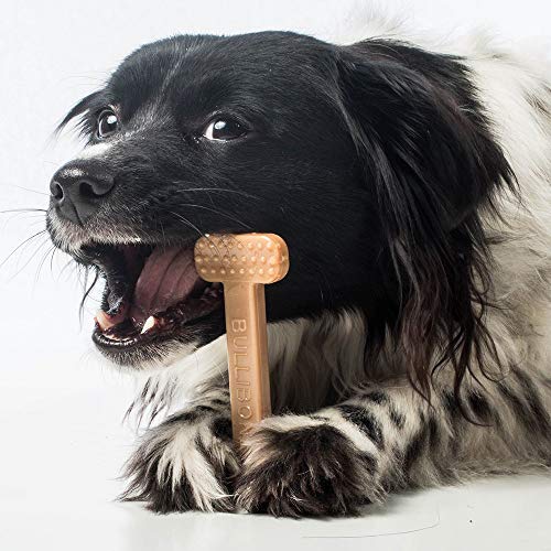 Bullibone Nylon Dog Chew Toy for Aggressive Chewers - Dental Hygiene Bone with Bacon Flavor, Durable Tough Chew Toys for Small Dogs, Indestructible Dog Bone - 3 Pack - size: Small - 3 Pack