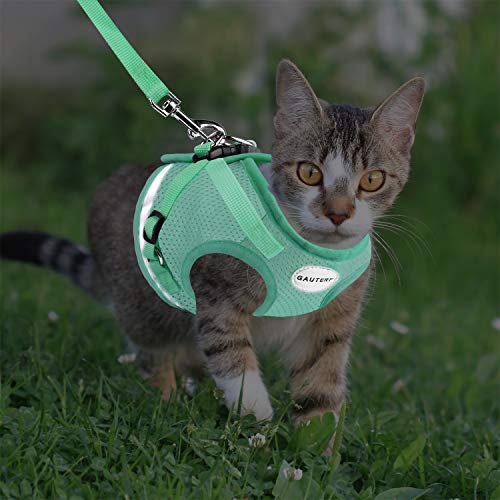 Cat Harnesses and Puppy Harness with Leashes Set, Escape Proof Cat Harness, Adjustable Reflective Soft Mesh Vest Fit Puppy Kitten Rabbit Ferrets's Outdoor Harness - color: Cyan, size: S (Chest: 9" - 11")