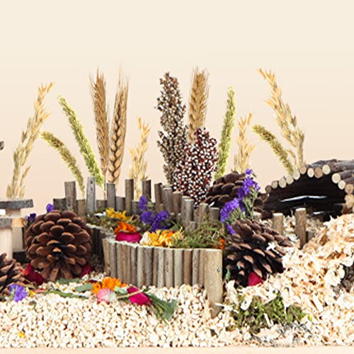 Natural Ear of Grain Flower&Herb Bedding Mate Habitat Decor, Adding Fun Hamster Accessories for Hamsters Gerbils Lemming - color: Wheat