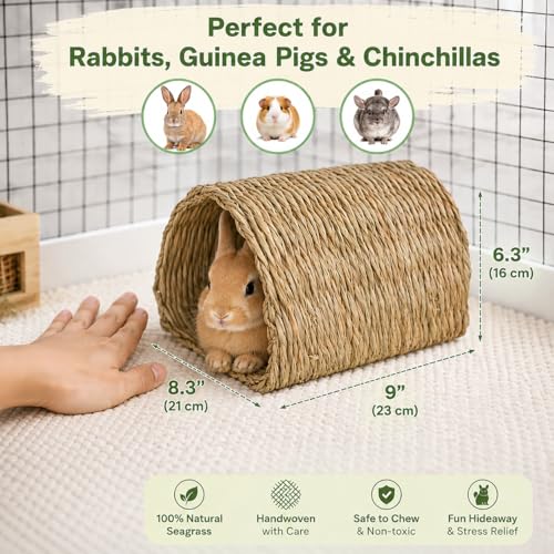 PEMAR Natural Seagrass Bunny Tunnel - Handwoven Rabbit Hideaway & Edible Grass House - Safe Chew Toy, Bed for Guinea Pigs, Chinchillas, Rats & Indoor Bunnies - Small Animal Enrichment (9x8.3x6.3”)