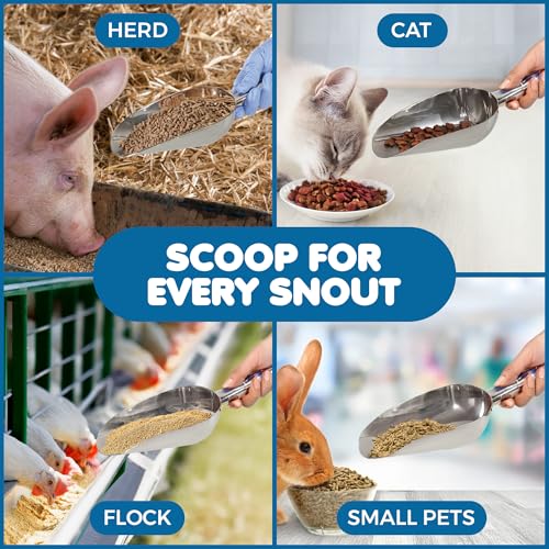 SunGrow Large Cat Litter and Food Scoop, Life Transforming 2-in-1 Scooper, Reduces Hand Fatigue, Saves Clear Litter, Makes Scooping Faster and Easier (Silver, Small)