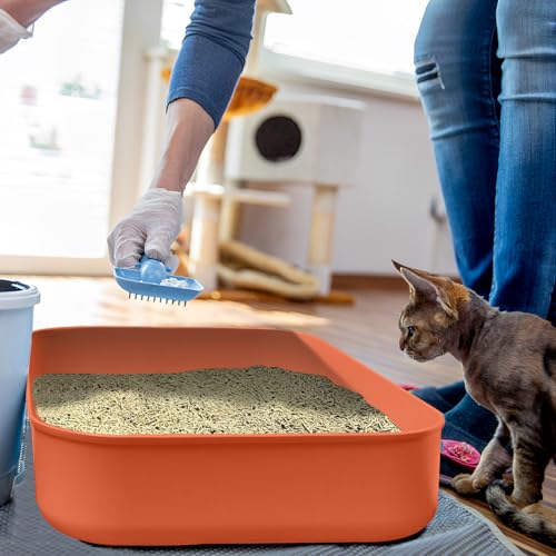 Small Litter Box, Plastic Kitten Litter Box, 13.9 x 9.8 x 3 Inch Open Litter Box for Small Pet, Easy to Clean (Orange 4PCS) - color: Orange 4PCS