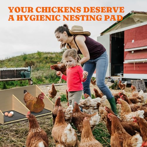 Pawtners 10-Pack Washable Chicken Nesting Box Pads, Reusable Laying Pad | Silicone Enduring Nesting Box Liners 12"x 12" Chicken Laying Pads for Laying Egg Poultry Nest Box Pads Easy to Clean - color: Grey - 10Pack