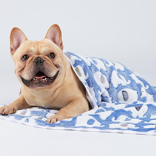 2 Pack 3 Blankets Super Soft Fluffy Premium Cute Elephant Pattern Pet Blanket Flannel Throw for Dog Puppy Cat Blue/Pink/Yellow Small(23x16 inch) - color: Blue/Pink/Yellow, size: 23x16 inch (Pack of 6)