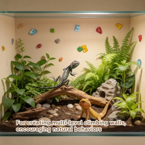 13PCS Bearded Dragon Toys, Set Including 1 Turtle Feeder Ball, 2 Bells Exercise Balls, 10 Climbing Stones,Interactive Toys for Reptile Tank, Lizard and Gecko Play
