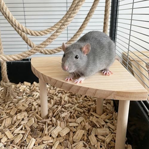 NOLITOY Hamster Platform Fan Shaped Wooden Cage Accessory Space-Saving Small Pet Climbing and Resting Stand Multi-Use Hamster Cage Platform for Hamsters Gerbils and Small Animals