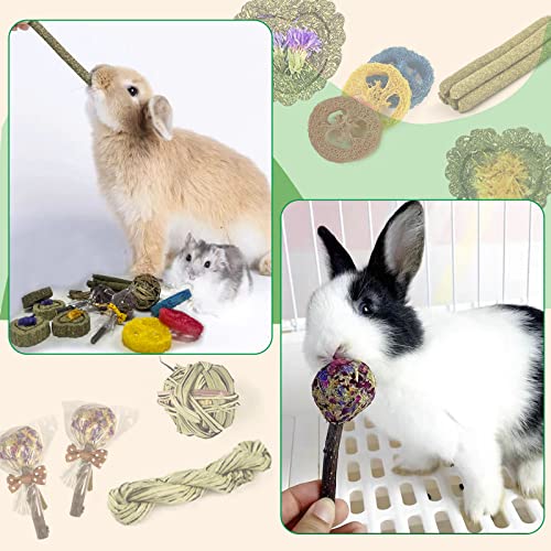 Rabbit Chew Toys for Teeth, 16PCS Natural Timothy Hay Chew Toy, Improve Dental Health for Bunny/Chinchilla/Guinea Pig/Hamsters/Holland Lop, Small Rodent Pet Molar Teeth Treats Toys - size: 16 PCS