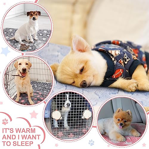 Reginary 4 Pcs Waterproof Guinea Pig Blankets Washable Small Animal Fleece Bedding Absorbent Guinea Pig Cage Liners Reusable Training Pee Pad Pet Sleep Mat for Hamster(Cute Star Pattern,28 x 56 Inch) - size: 28 x 56 Inch
