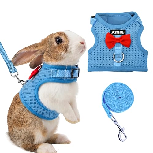 Breathable Bunny Harness and Leash Set with Cute Bow, Blue L | Adjustable Vest, Escape Proof, Quick-Release Buckle, for Rabbits, Kittens, Ferrets & Small Pets, Walking & Outdoor - color: Blue, size: L