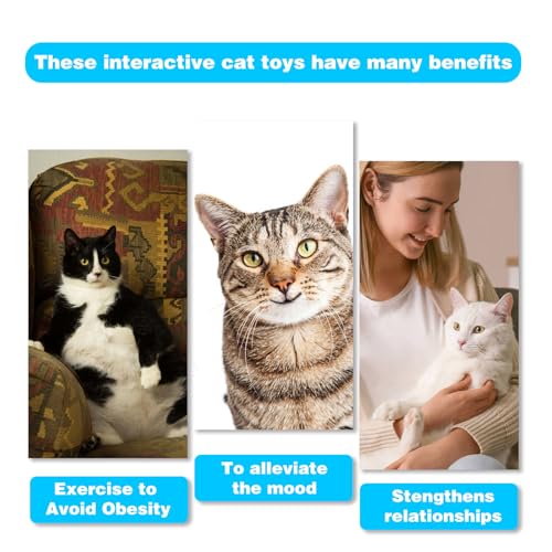 Retractable Cat Toy Wand 12 Packs Interactive Cat Feather Toys | , 9 Assorted Teaser Refills with Bell for Kitten (Pink) - size: 12 PCS
