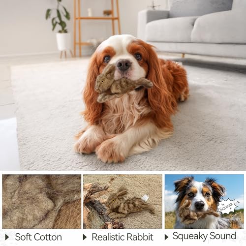 ALL FOR PAWS Squeaky Dog Toys, Dog Stuffed Animal Toys, Plush Toy for Small Medium Large Dogs, Puppy Chew Toy with Squeaker, Brown Rabbit-S | Plush Toy for Small Medium Large Dogs, Puppy Chew Toy with Squeaker, Brown Rabbit-S - size: Small (Pack of 1)