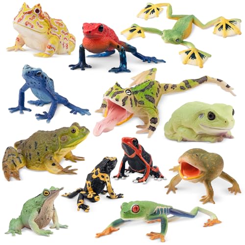 Toymany Frog Toy Figures, Plastic Rainforest Woodland Animals Toy Frogs Set with Realistic Poison Dart Frog, Cake Topper Party Favor Garden Flowerpot Plants Decor - style: Jungle Animal-2