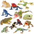 Toymany Frog Toy Figures, Plastic Rainforest Woodland Animals Toy Frogs Set with Realistic Poison Dart Frog, Cake Topper Party Favor Garden Flowerpot Plants Decor - style: Jungle Animal-2