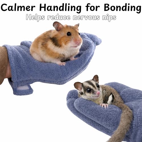 Hamster Anti Bite Gloves Sugar Glider, Calming Anti Bite Gloves and Feeding Spoons, Soft Bonding Mitt for Training Grooming Handling, Sugar Glider Cage Accessories, Dwarf Hamster Accessories (Blue) - color: Blue