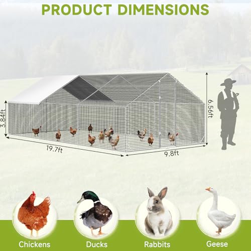 Large Walk-in Chicken Coop with Chicken Run, Galvanized Poultry Enclosure with Waterproof Anti-UV Cover and Security Lock, Ideal for Rabbit, Duck, Backyard and Farm Yard, 19.7'x 9.8'x 6.6' - size: 236.4"L x 117.6"W x 78.7"H