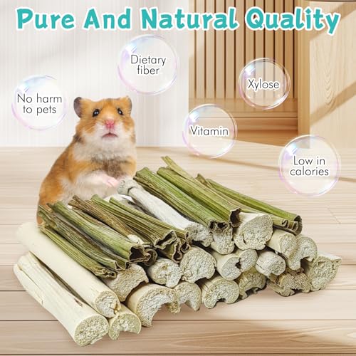 Tfwadmx Rabbit Chew Sticks, 25 Pcs Natural Sweet Bamboo Pet Snacks &40 g Papaya Stems Bunny Chews Molar Treats Chew Toy for Rabbit Guinea Pig Hamster Chinchilla - size: 0.02 Ounce (Pack of 50)